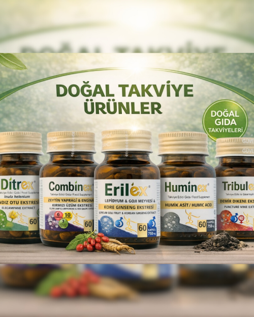 TAKVİYE EDİCİ GIDALAR